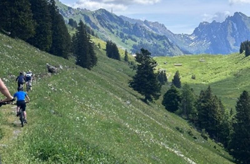 Bild1